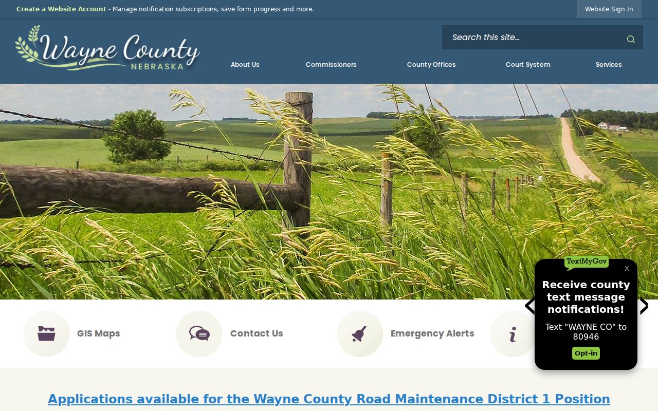 Wayne County criminal history county government starting point