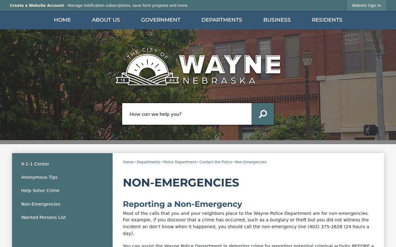 Wayne criminal records non-emergency police reporting