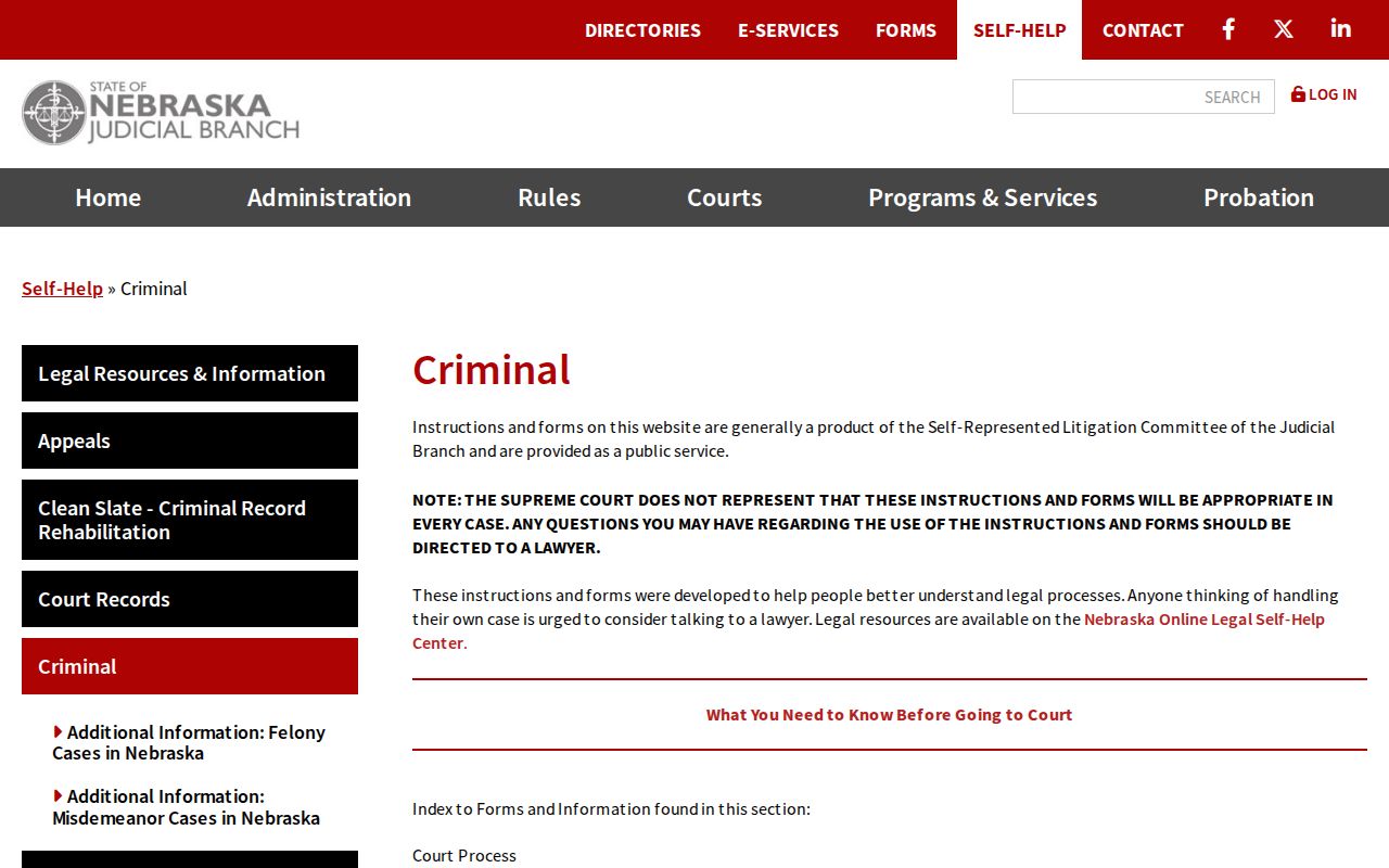 Wayne County court case process information